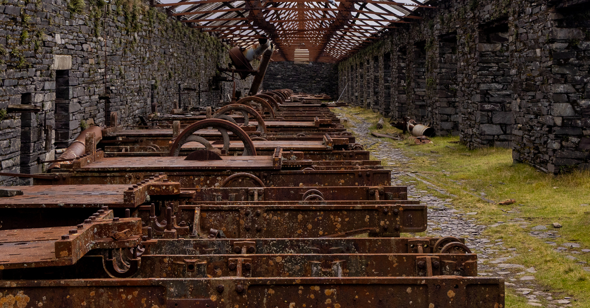 The Old Cutting Shed - Dan Johnson - Commended